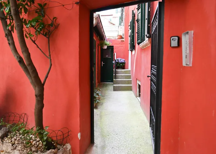 דירה Suzy רוביני